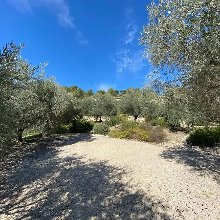 La Maison Dans L'olivette Holiday home