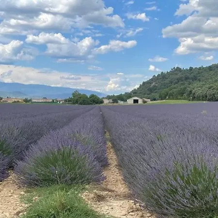 La Maison Dans L'olivette Holiday home Oraison