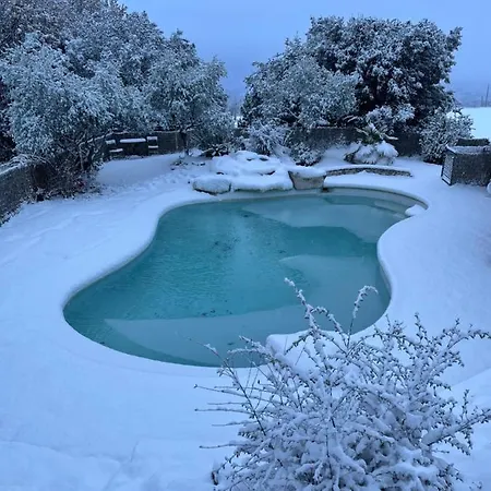 La Maison Dans L'olivette * Oraison